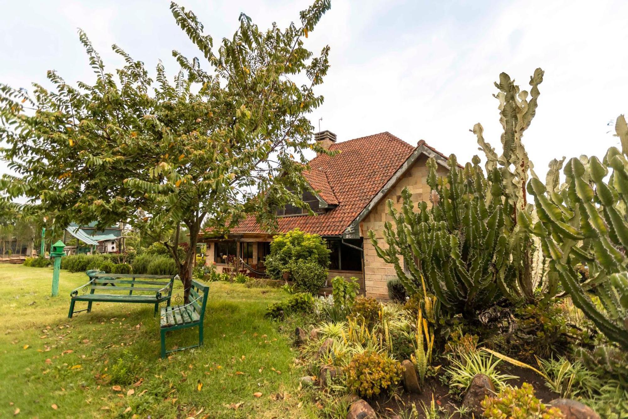 Mount Kenya Farm Stay نانيوكي المظهر الخارجي الصورة